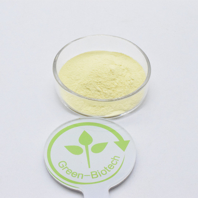 Vente à chaud Extrait de racine de kava jaune brun Poudre de plantation artificielle