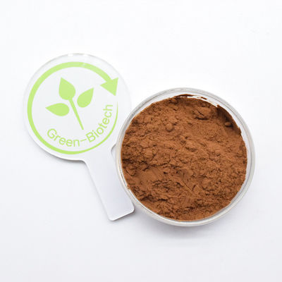 Extrait de chrysanthème de haute qualité 5% Flavone Extrait de fleur de chrysanthème