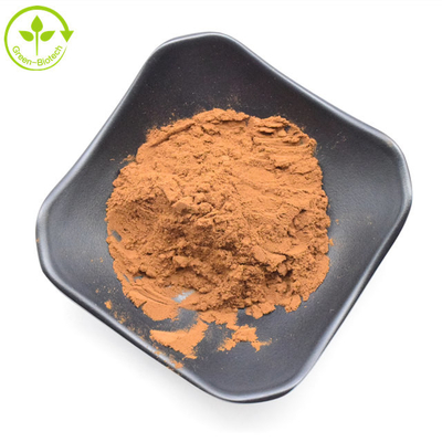 Produit d'usine Produit alimentaire de qualité naturelle en vrac Extrait de chrysanthème brun 5:1