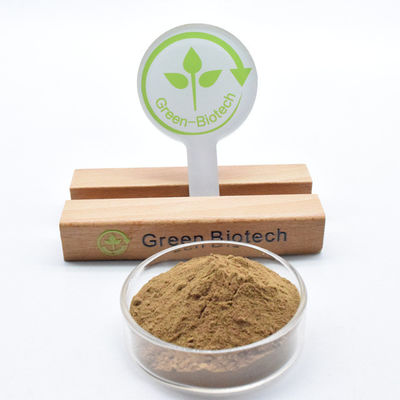 Poudre de dendrobine d'extrait de dendrobium naturel pur en vrac