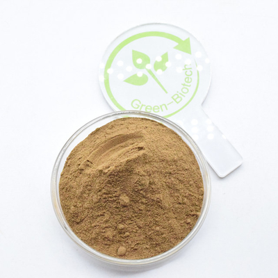 Poudre fine brune en vrac 10:1 5:1 20:1 Extrait de dendrobium officinale
