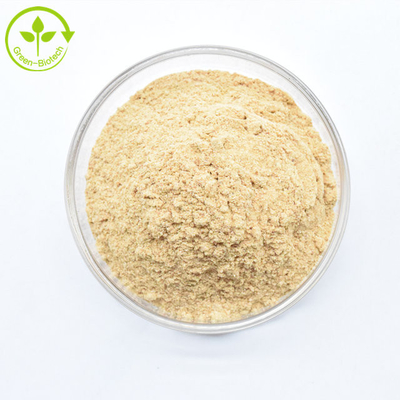 Extrait d' arachnoïde de cyanote de haute qualité 50% à 98% de bêta-écdystérone en poudre