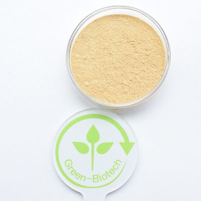 HPLC 90% extrait de cyanote arachnoïde bêta-écdystérone en poudre Hydroxyecdysone