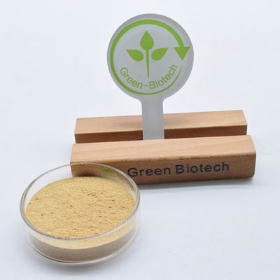 Extrait pur de racine d'arachnoïde de cyanote Ecdystérone 98% bêta Ecdystérone en poudre