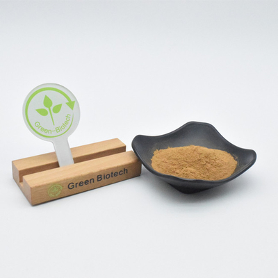 Produits d'usine Extraits végétaux naturels Poudre d'extrait de maca jaune brun de haute qualité