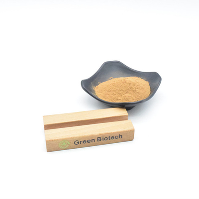 Extraits végétaux naturels en gros Meilleur prix Poudre d'extrait de maca pour le traitement des cheveux
