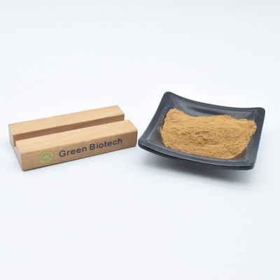 En gros Extraits végétaux naturels en vrac Poudre d'extrait de racine pure de maca
