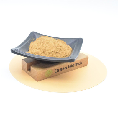 Fournir des extraits végétaux naturels de haute qualité poudre d'extrait de racine de maca