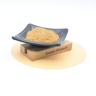 Extrait de plante naturel soins de santé vente en vrac en poudre d'extrait de racine de maca naturelle