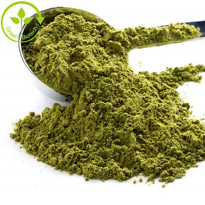 Fournir de la poudre pure de thé vert Matcha, bonne pour vous, du Japon