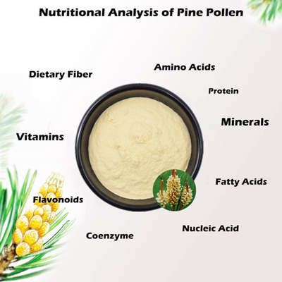 Suppléments d' immunité Renforçateur de la paroi cellulaire Poudre de pollen de pin cassé