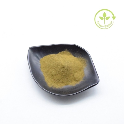 5% d'extrait de Withanolides Ashwagandha en poudre brune pour les capsules et les gammies d'Ashwagandha