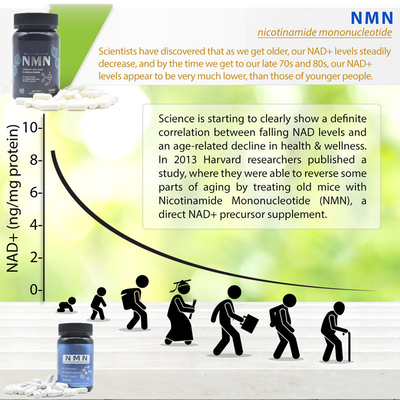 Augmentation pure d'énergie de capsule de supplément de la longévité 600mg Nmn