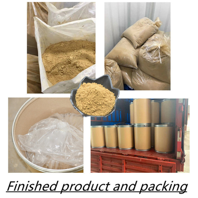 80 Mesh Ginseng Root Extract Powder 1%-80% extraits naturels d'usine