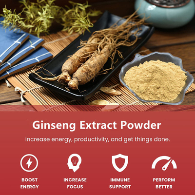 80 Mesh Ginseng Root Extract Powder 1%-80% extraits naturels d'usine