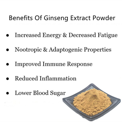 80 Mesh Ginseng Root Extract Powder 1%-80% extraits naturels d'usine