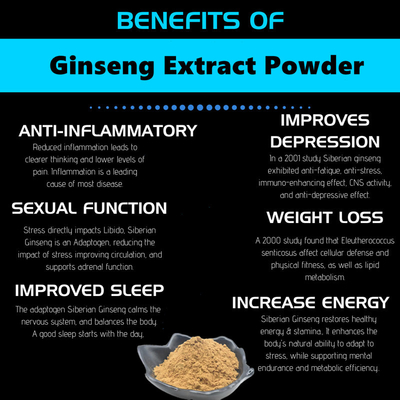 80 Mesh Ginseng Root Extract Powder 1%-80% extraits naturels d'usine