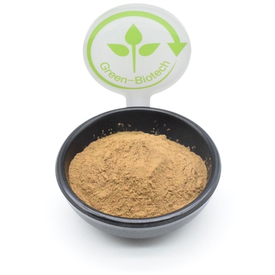 L'extrait d'usine de poudre d'extrait de Turkestanica d'Ajuga de musculation saupoudrent 500mg 750mg 1000mg