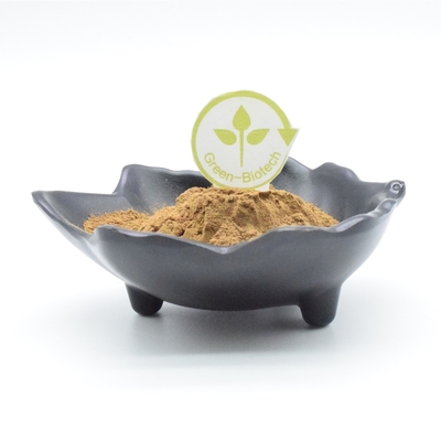 L'extrait d'usine de poudre d'extrait de Turkestanica d'Ajuga de musculation saupoudrent 500mg 750mg 1000mg