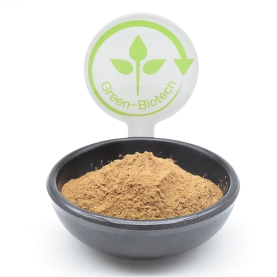 Perte de Turkestanica 2% Turkesterone d'Ajuga de poudre d'extrait d'usine de HACCP grosse