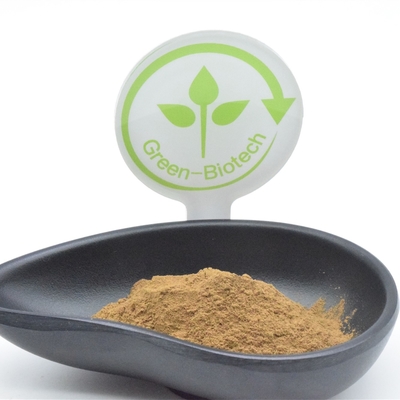 Perte de Turkestanica 2% Turkesterone d'Ajuga de poudre d'extrait d'usine de HACCP grosse