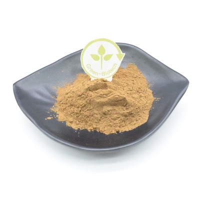 Poudre d'extrait d'usine de 10% Turkesterone