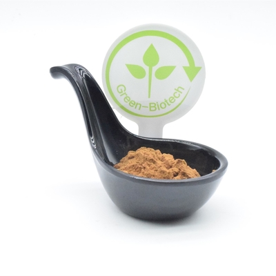 Bodybuilding d'extrait de Turkest d'Ajuga de 2%