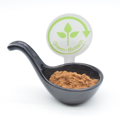 Les sports complète le bodybuilding 2% 250mg 350mg 500mg d'extrait turkest d'Ajuga