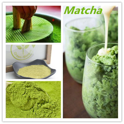 L'usine naturelle de poudre organique cérémonieuse de Matcha extrait l'anti oxydant