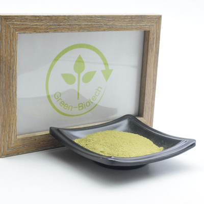 L'usine naturelle de poudre organique cérémonieuse de Matcha extrait l'anti oxydant