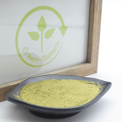 L'usine naturelle de MSDS extrait la poudre de thé d'Uji Matcha avec Rich Umami Taste