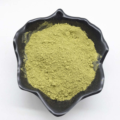 L'usine naturelle cérémonieuse de Matcha extrait anti inflammatoire d'anti anaphylaxie